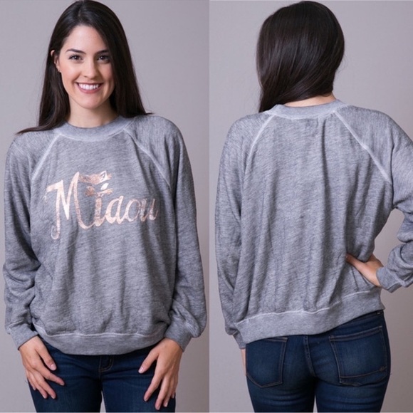 Wildfox Gray Miaou Pullover Cat Sweater Meow Medium - Picture 1 of 8